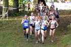 Senior women, National Cross Country Relays, Berry Hill Park, Mansfield. Photo: David T. Hewitson/Sports for All Pics